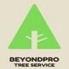 BeyondPro Tree Service logo